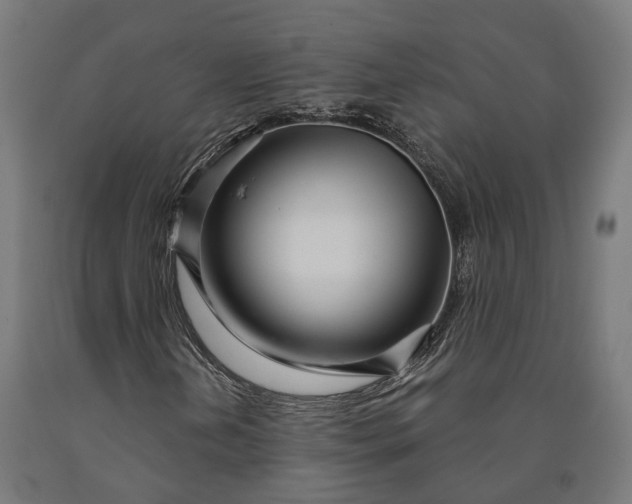 X0000090611202200707311215