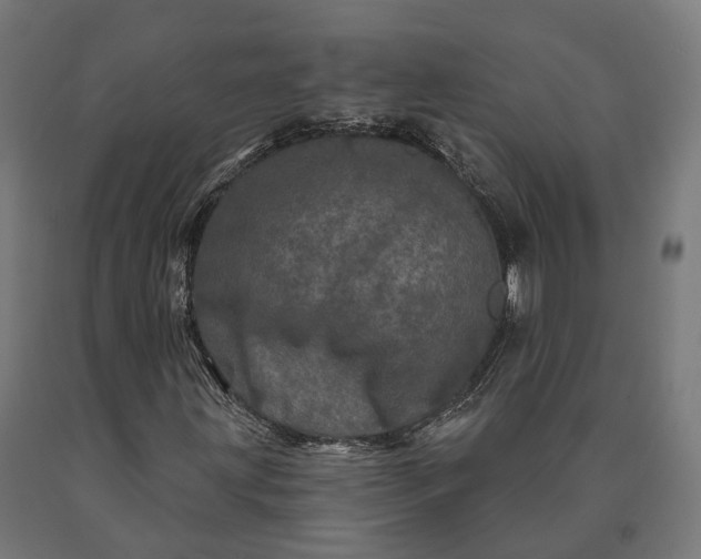 X0000090611203200707311215