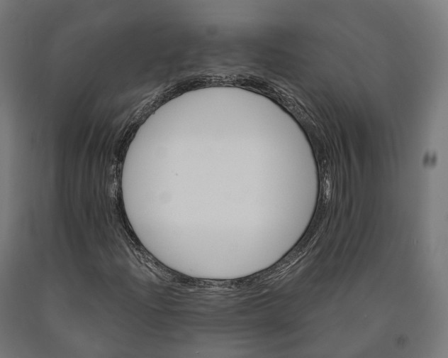 X0000090611204200707311215