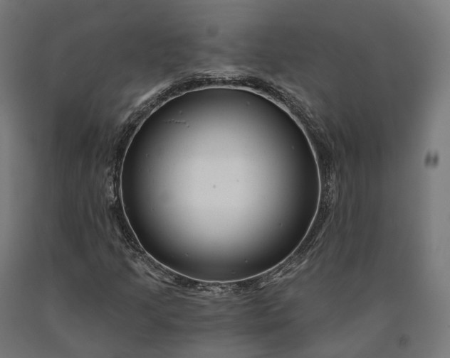 X0000090611205200707311215