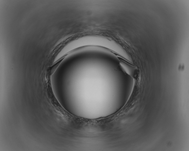 X0000090611206200707311215