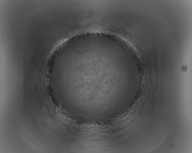 X0000090611207200707311215