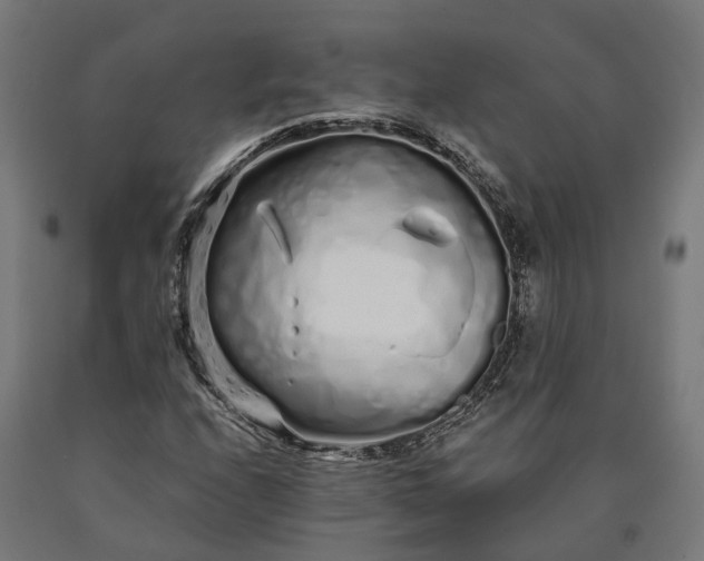 X0000090611208200707311215