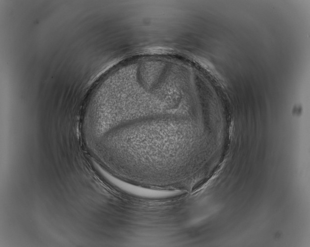 X0000090611209200707311215