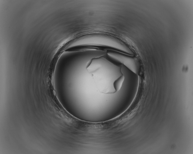 X0000090611210200707311215