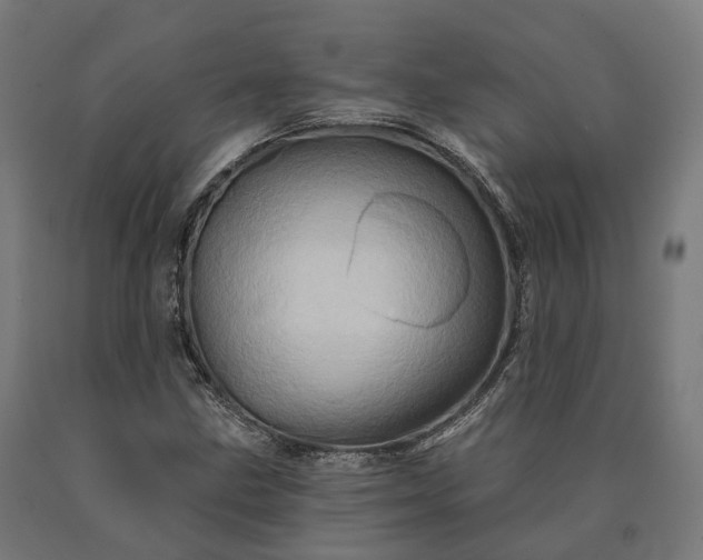 X0000090611211200707311215