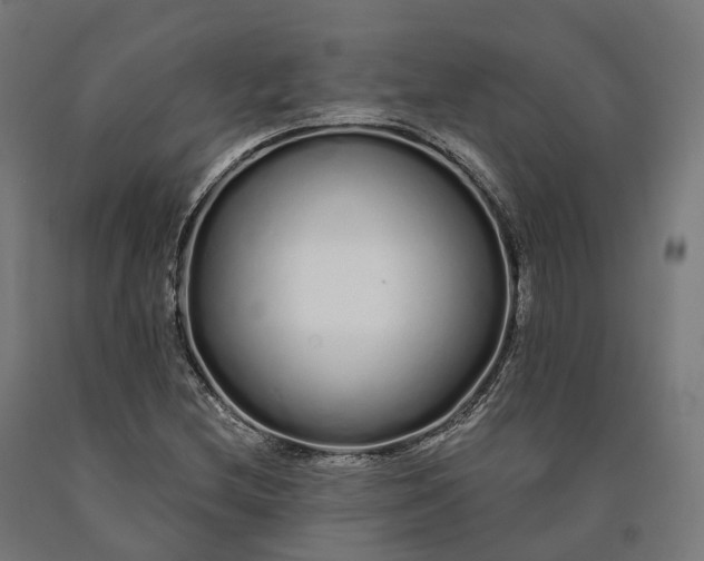 X0000090611212200707311215