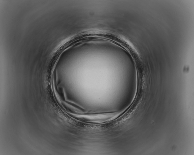 X0000090611213200707311215