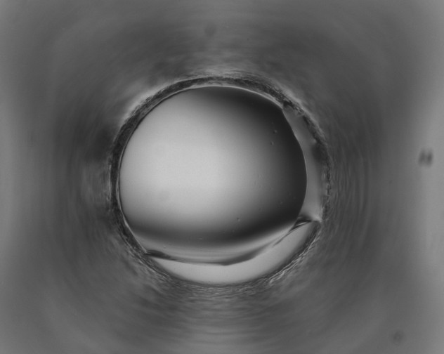 X0000090611214200707311215