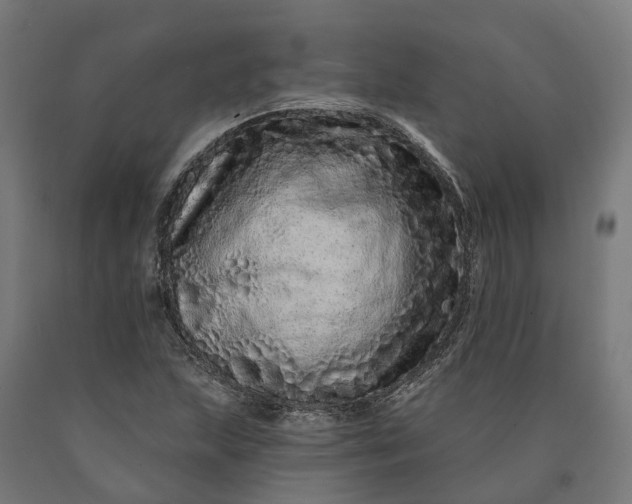 X0000090611215200707311215