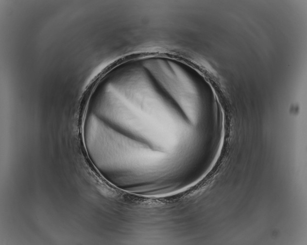 X0000090611216200707311215