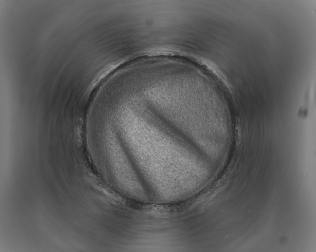 X0000090611217200707311215