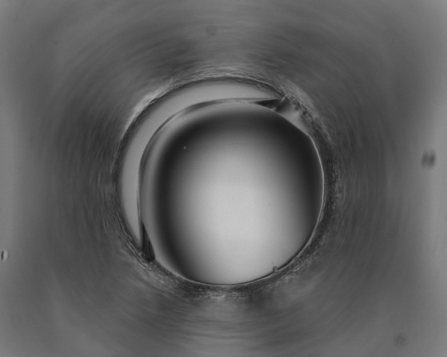 X0000090611218200707311215