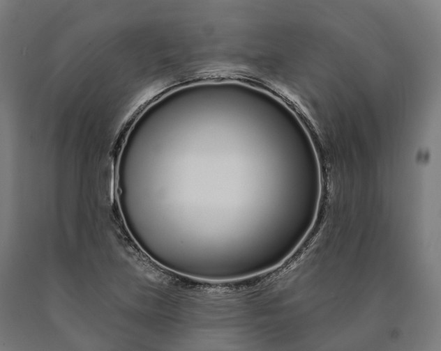 X0000090611219200707311215