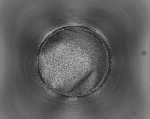 X0000090611220200707311215