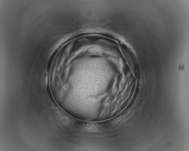 X0000090611221200707311215