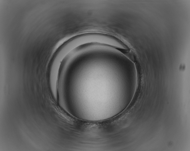 X0000090611222200707311215