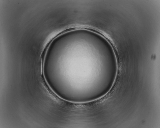 X0000090611223200707311215