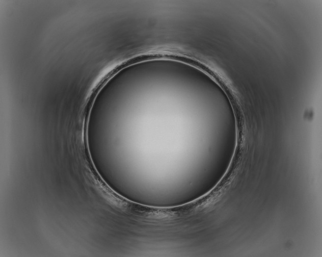 X0000090611224200707311215