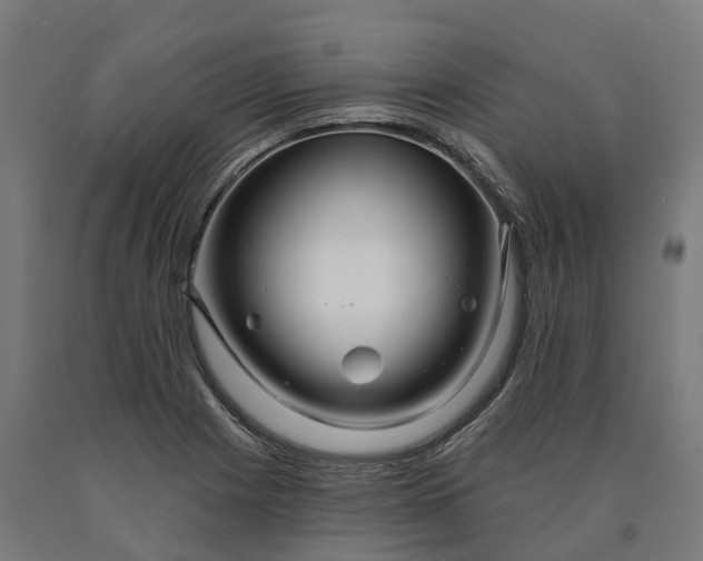 X0000090611225200707311215