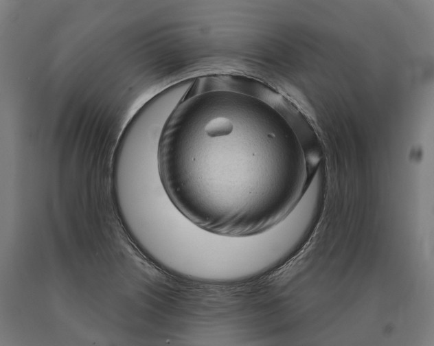 X0000090611226200707311215