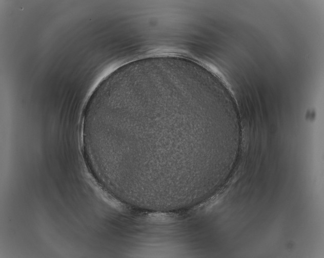 X0000090611227200707311215