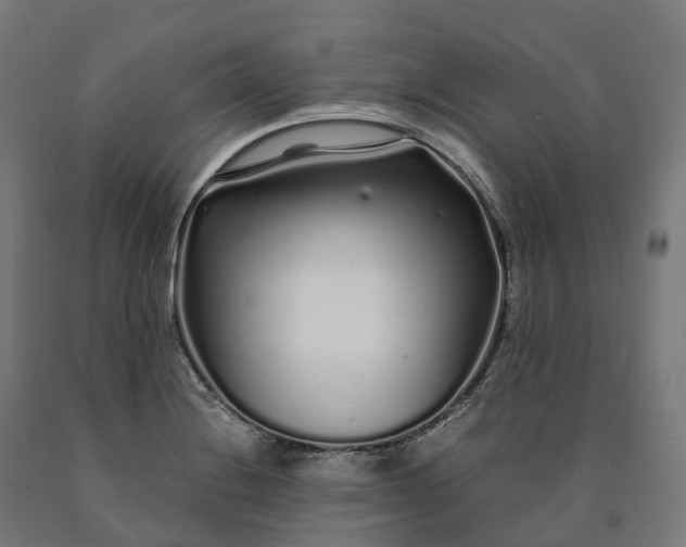 X0000090611228200707311215