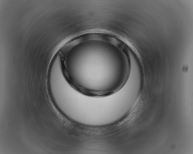 X0000090611229200707311215