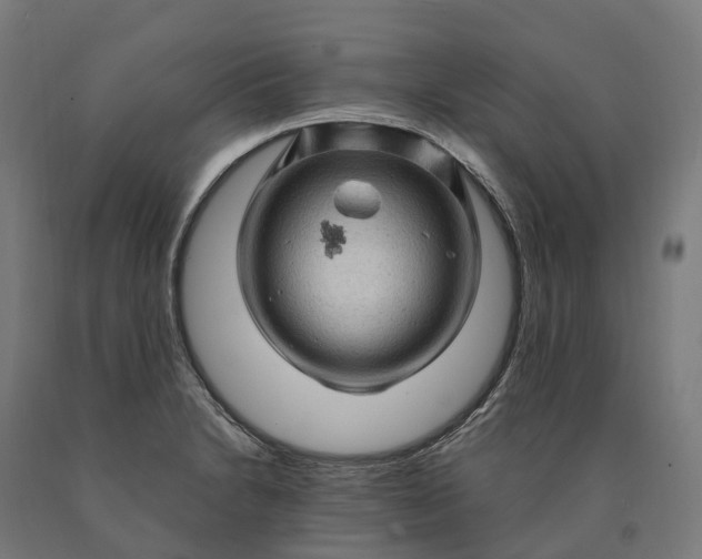 X0000090611230200707311215