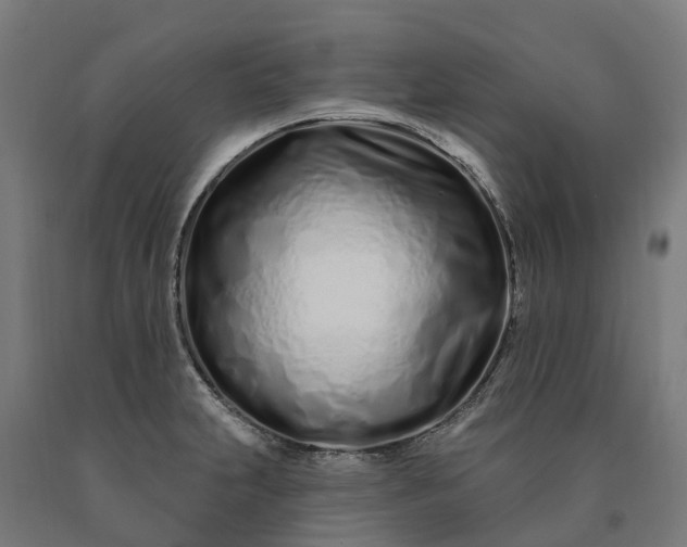 X0000090611231200707311215