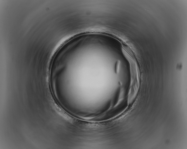 X0000090611232200707311215