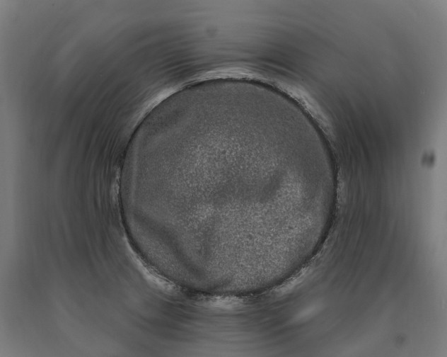 X0000090611233200707311215