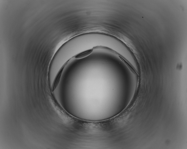 X0000090611234200707311215