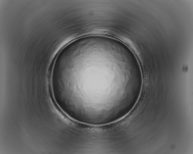 X0000090611235200707311215