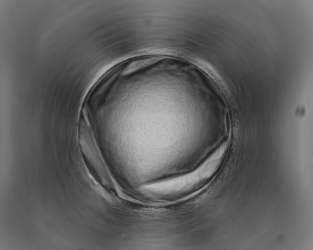 X0000090611236200707311215