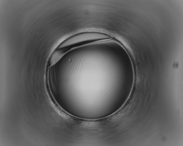 X0000090611237200707311215