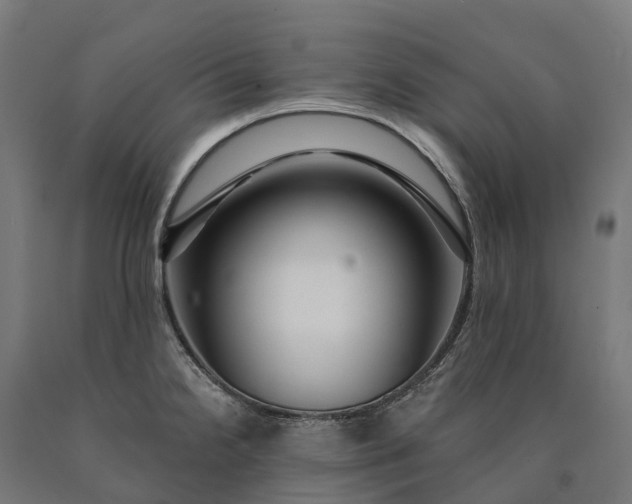 X0000090611238200707311215