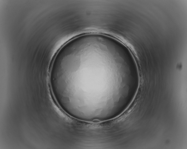 X0000090611239200707311215