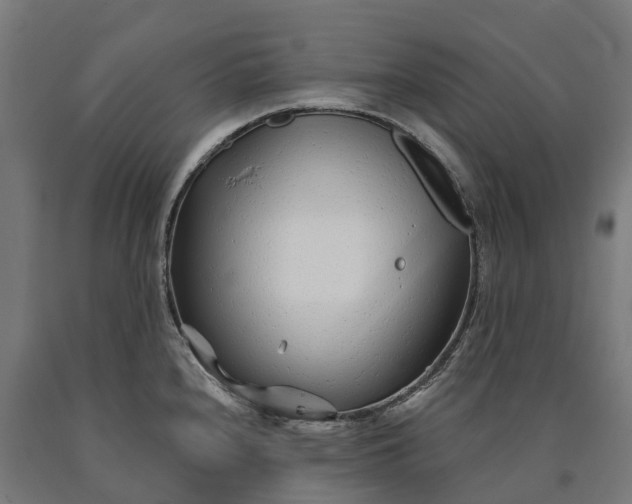 X0000090611240200707311215