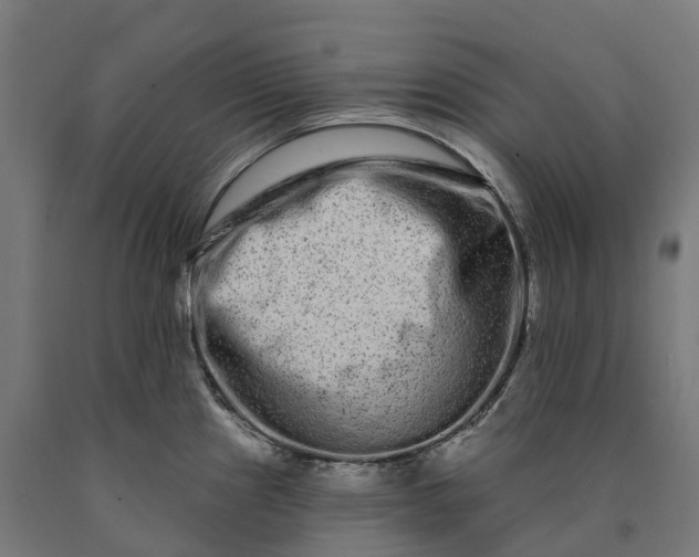 X0000090611241200707311215