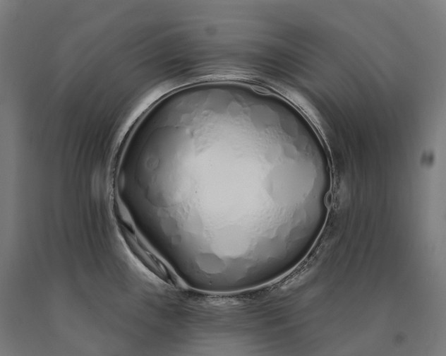 X0000090611243200707311215