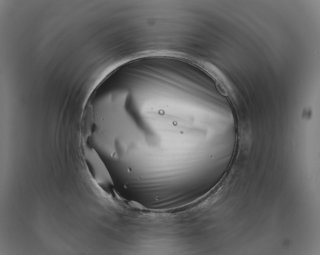 X0000090611244200707311215