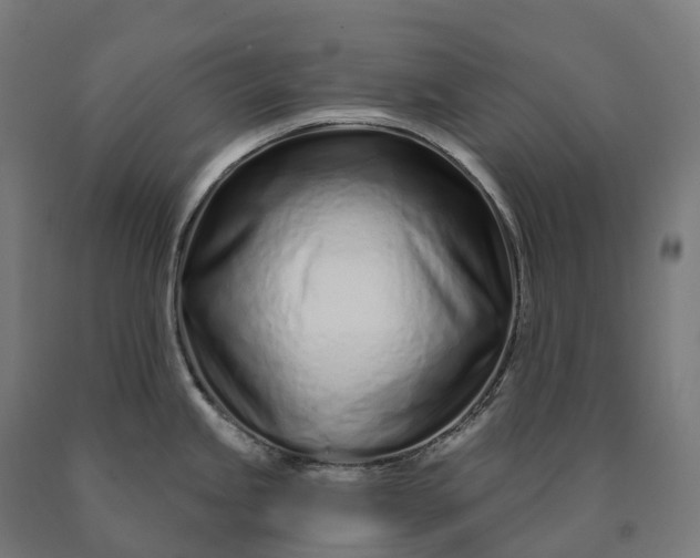 X0000090611245200707311215