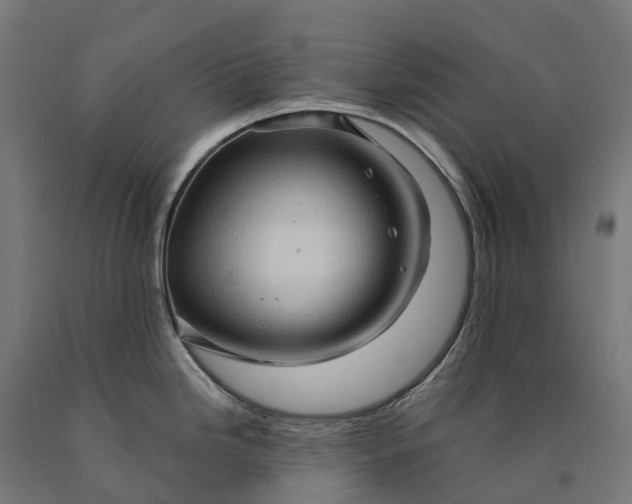 X0000090611246200707311215