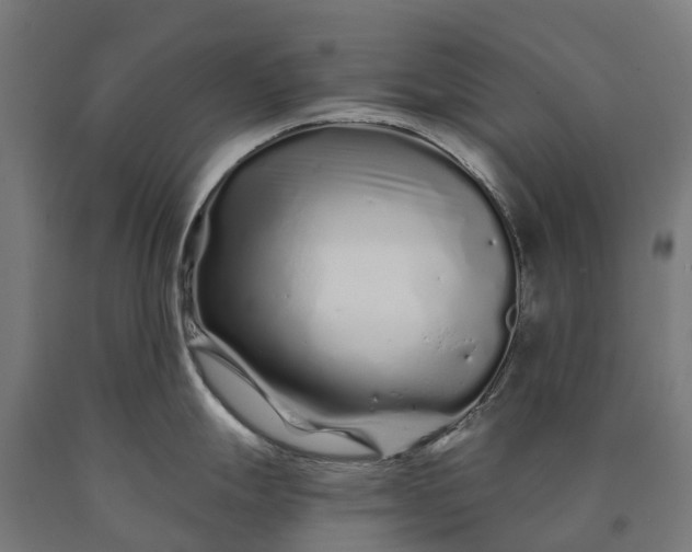 X0000090611247200707311216