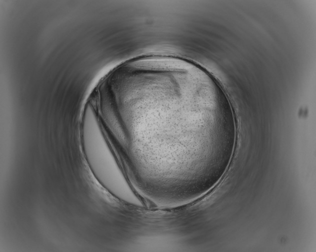 X0000090611248200707311216