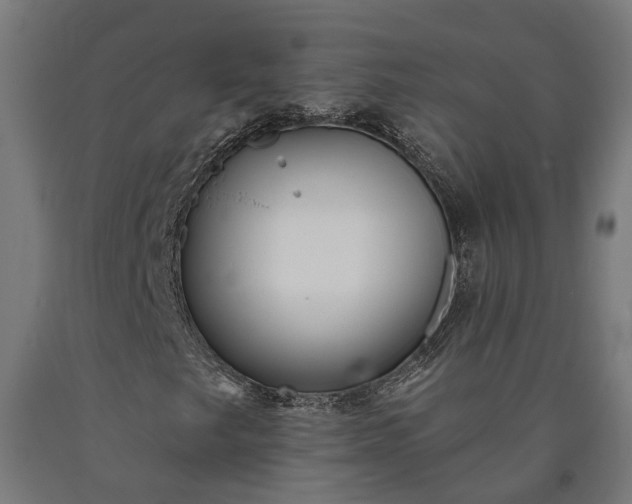 X0000090611249200707311215