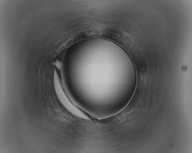 X0000090611250200707311215