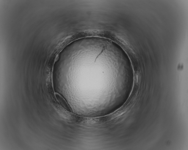 X0000090611251200707311215