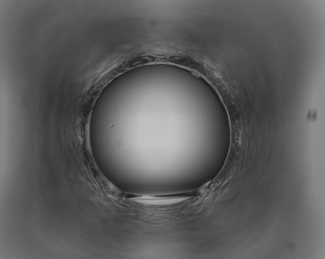 X0000090611253200707311215